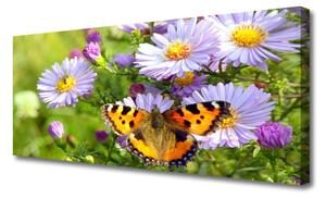 Obraz na plátne Kvety motýľ príroda 125x50 cm