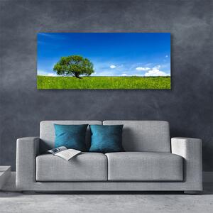 Obraz na plátne Tráva strom príroda 125x50 cm