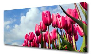 Obraz na plátne Tulipán 125x50 cm