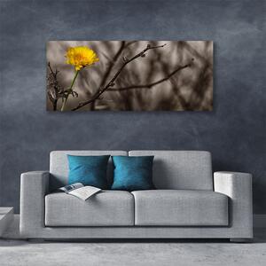 Obraz na plátne Vetva kvet 125x50 cm