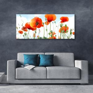 Obraz Canvas Kvety maky lúka pole príroda 125x50 cm