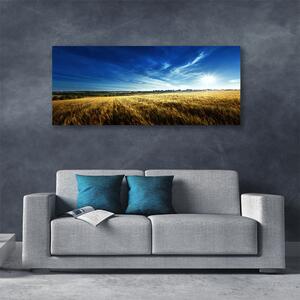 Obraz Canvas Pole obilie slnko krajina 125x50 cm