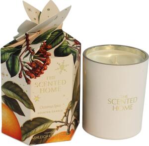 Ashleigh & Burwood London The Scented Home Christmas Spice vonná sviečka 170 g