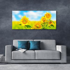 Obraz Canvas Slnečnica kvety príroda 125x50 cm