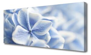 Obraz Canvas Kvety plátky príroda 125x50 cm