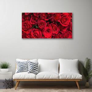 Obraz Canvas Červené ruže kvety príroda 125x50 cm