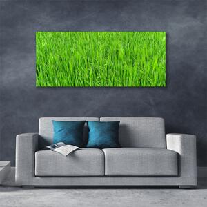 Obraz Canvas Zelená tráva príroda trávnik 125x50 cm