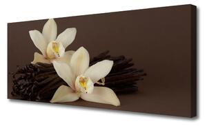 Obraz Canvas Kvety vanilky do kuchyne 125x50 cm
