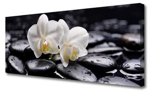 Obraz Canvas Kamene zen biela orchidea 125x50 cm