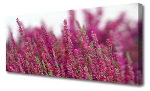 Obraz Canvas Kvety lúka príroda 125x50 cm
