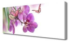 Obraz Canvas Motýle kvety príroda 125x50 cm
