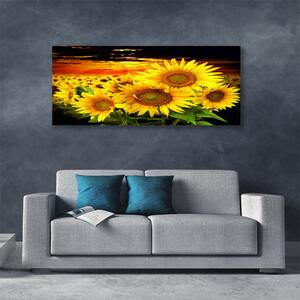 Obraz Canvas Slnečnica kvet rastlina 125x50 cm