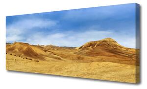 Obraz Canvas Púšť vrcholky krajina 125x50 cm