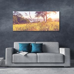 Obraz Canvas Lúka tráva strom príroda 125x50 cm