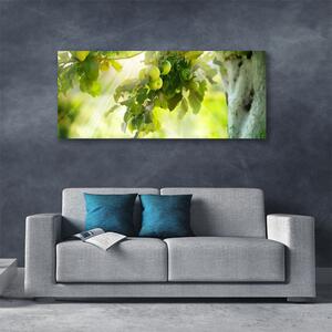 Obraz Canvas Jablká vetva strom príroda 125x50 cm