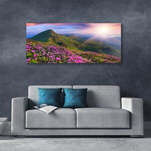 Obraz Canvas Hory lúka kvety príroda 125x50 cm