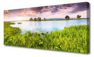 Obraz Canvas Tráva jazero príroda 125x50 cm