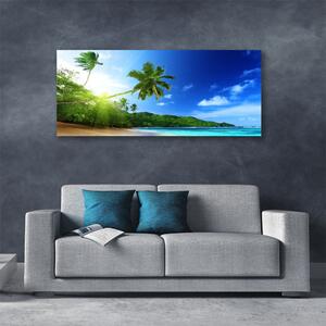 Obraz Canvas Pláž more palma krajina 125x50 cm