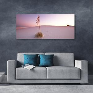 Obraz Canvas Púšť písek krajina 125x50 cm