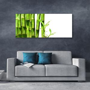 Obraz na plátne Bambus rastlina 125x50 cm