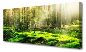 Obraz na plátne Mech les príroda 125x50 cm