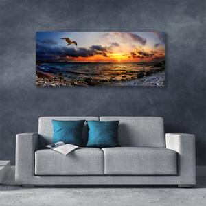 Obraz na plátne Čajka more pláž krajina 125x50 cm