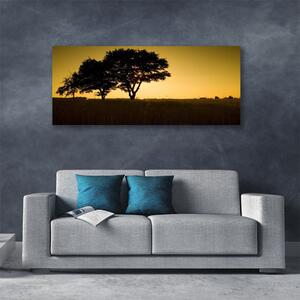 Obraz na plátne Stromy príroda rastlina 125x50 cm
