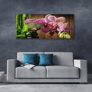 Obraz na plátne Kvetiny bambus rastlina 125x50 cm