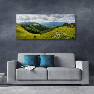 Obraz na plátne Hora lúka krajina 125x50 cm