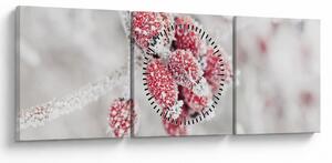 Obraz - Zamrznuté plody (s hodinami) (90x30 cm)