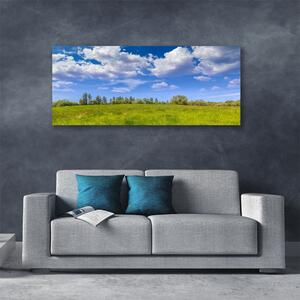 Obraz Canvas Lúka tráva nebo krajina 125x50 cm