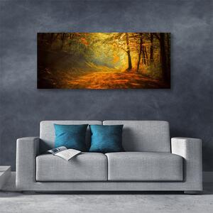 Obraz Canvas Les cestička stromy príroda 125x50 cm