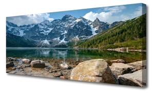 Obraz Canvas Hory les jazero kamene 125x50 cm