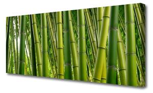 Obraz Canvas Bambusový les bambusové výhonky 125x50 cm