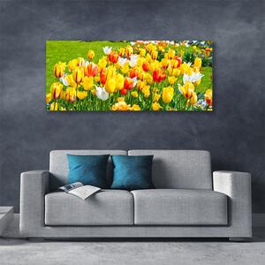 Obraz Canvas Tulipány kvety príroda 125x50 cm