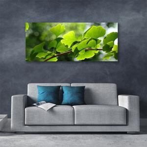 Obraz Canvas Vetvy listy príroda strom 125x50 cm