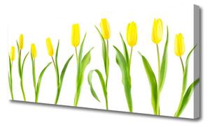 Obraz Canvas Žlté tulipány kvety 125x50 cm
