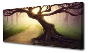 Obraz Canvas Strom lúče slnko 125x50 cm