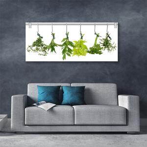 Obraz Canvas Listy príroda byliny 125x50 cm