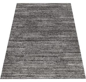 DY Sivo-hnedý koberec s pruhovaným vzorom Panamero 23 Rozmer: 60x100 cm