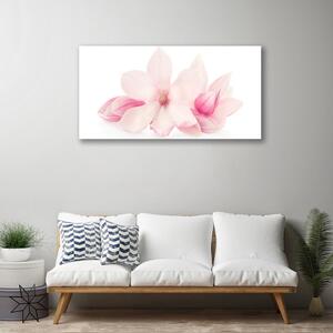 Obraz Canvas Kvety plátky rastlina príroda 125x50 cm
