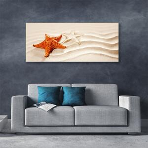 Obraz Canvas Hviezdice na piesku pláž 125x50 cm
