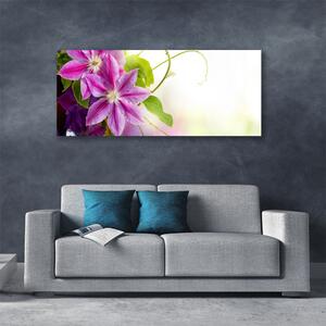 Obraz Canvas Kvety príroda 125x50 cm
