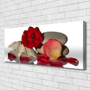 Obraz Canvas Ruže plátky mŕtva príroda 125x50 cm