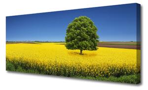 Obraz Canvas Lúka strom príroda pole 125x50 cm