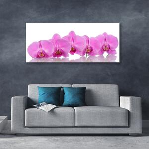 Obraz Canvas Ružová orchidea kvety 125x50 cm