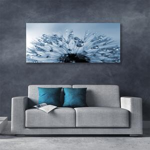Obraz Canvas Púpava kvet kvapky 125x50 cm