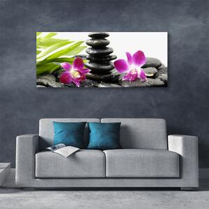 Obraz Canvas Kamene zen kúpele orchidea 125x50 cm