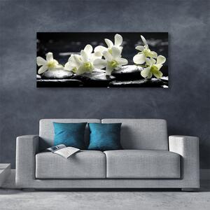 Obraz na plátne Kvet kamene rastlina 125x50 cm
