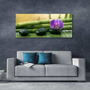 Obraz na plátne Kvet kamene bambus príroda 125x50 cm